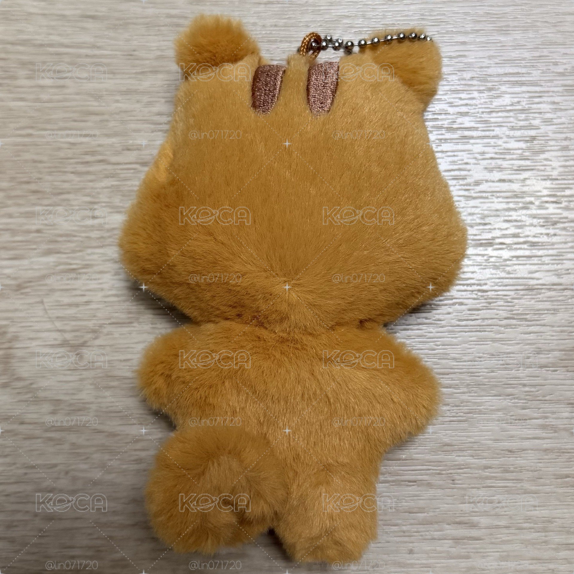 ANITEEZ IN TREASURE 豆豆眼 娃 弘中 潤浩 傘 友榮