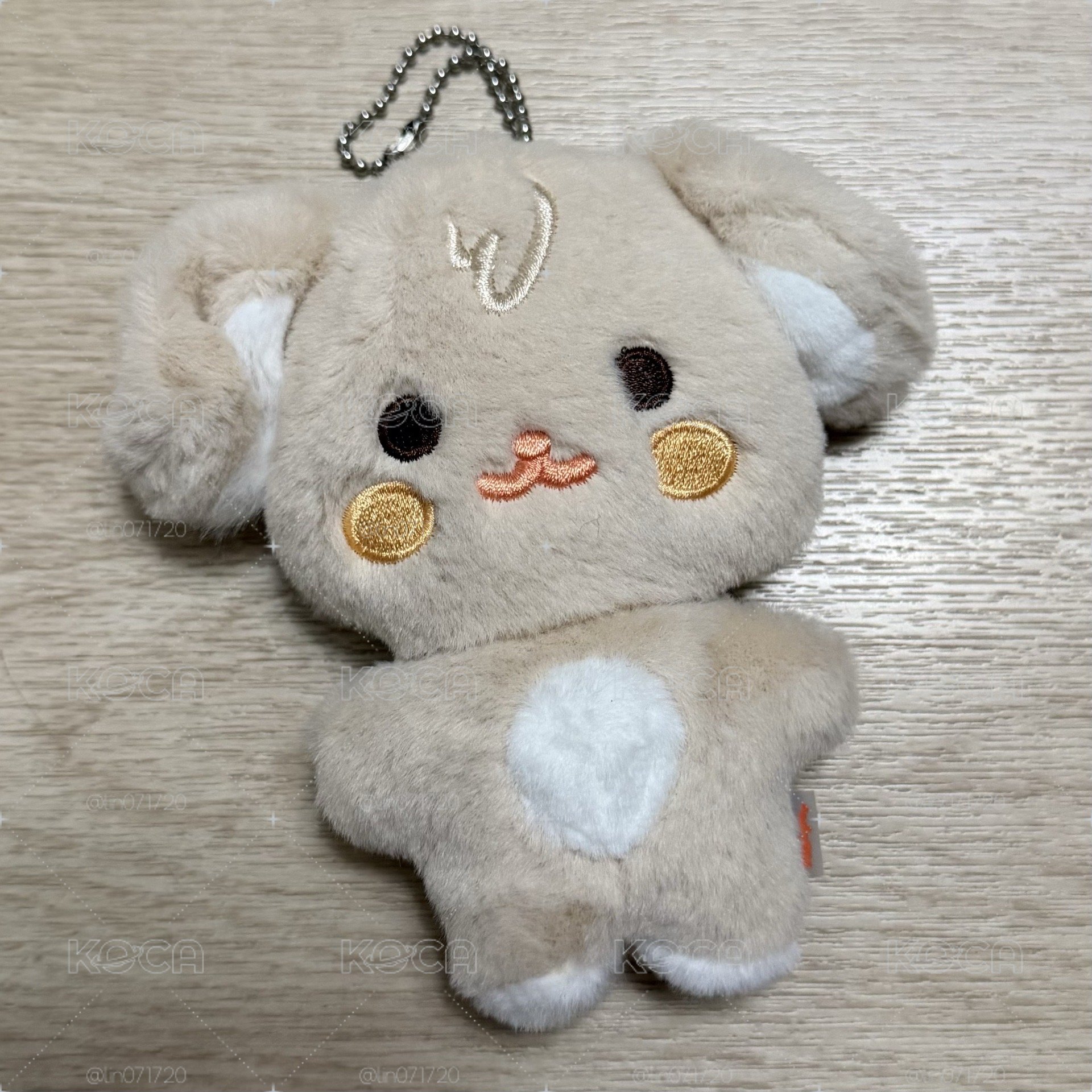 ANITEEZ IN TREASURE 豆豆眼 娃 弘中 潤浩 傘 友榮