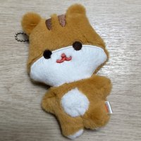 豆豆眼弘中