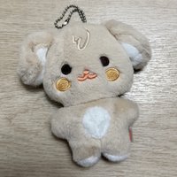 豆豆眼潤浩