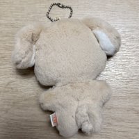 豆豆眼潤浩