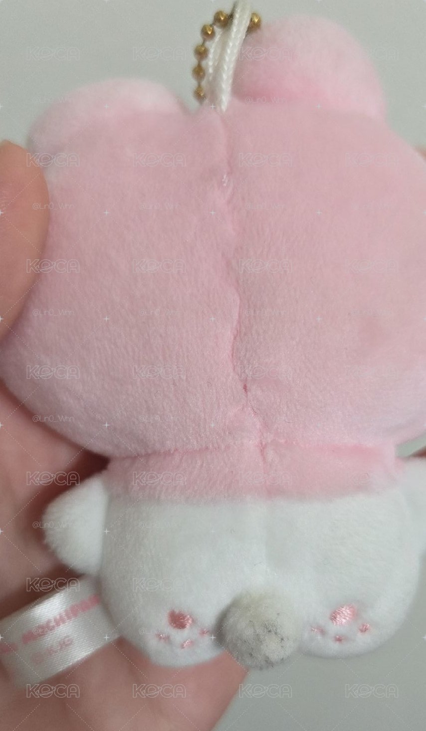 豆豆眼美樂蒂