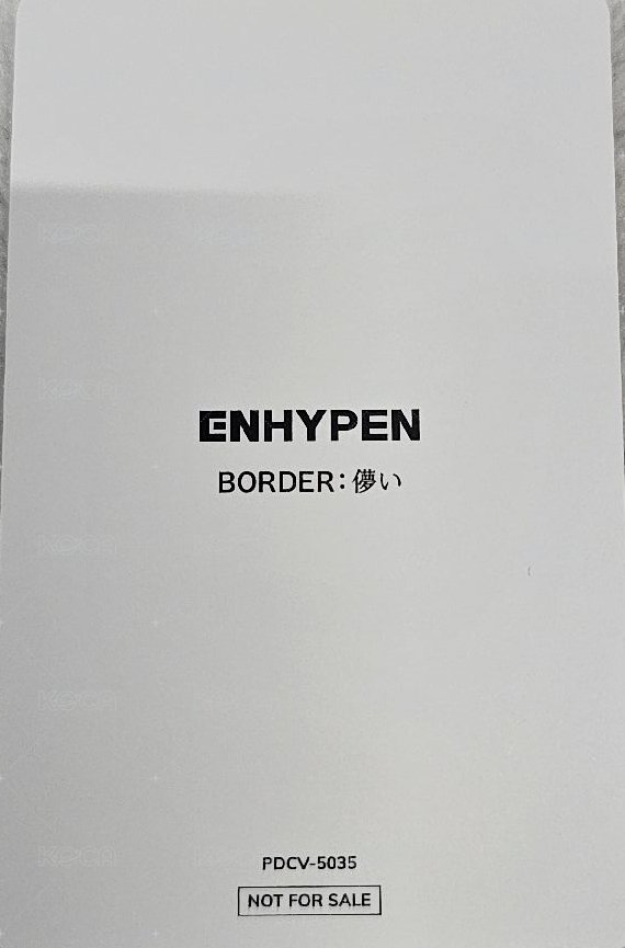 BORDER : 儚い（Hakanai） 環球 專輯卡 環球限定盤隨機卡 背面
