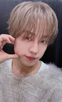 WOF 塔店 幸運卡 