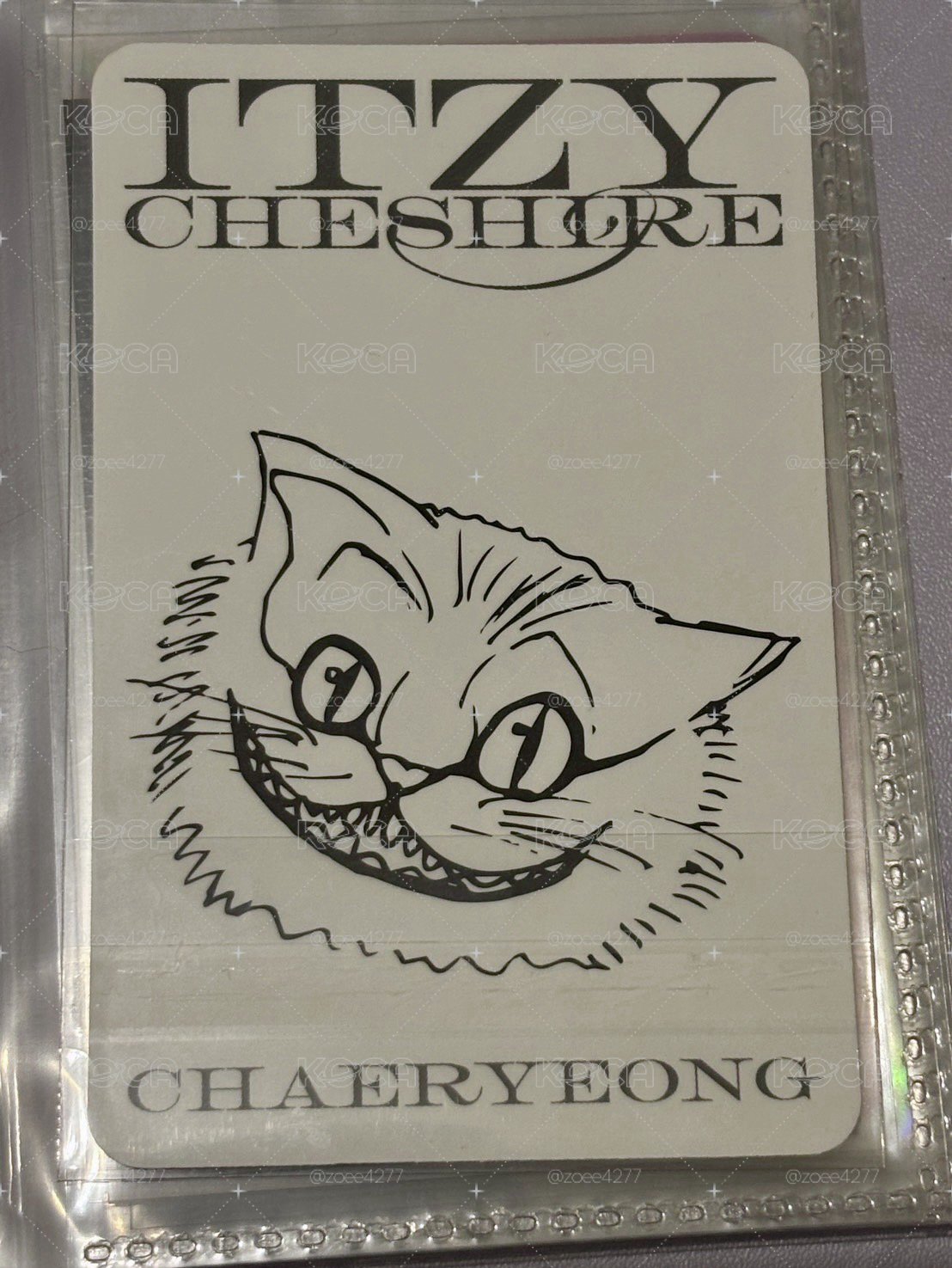 貓耳領🦊