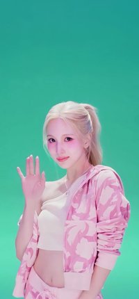 名井南的狗狗