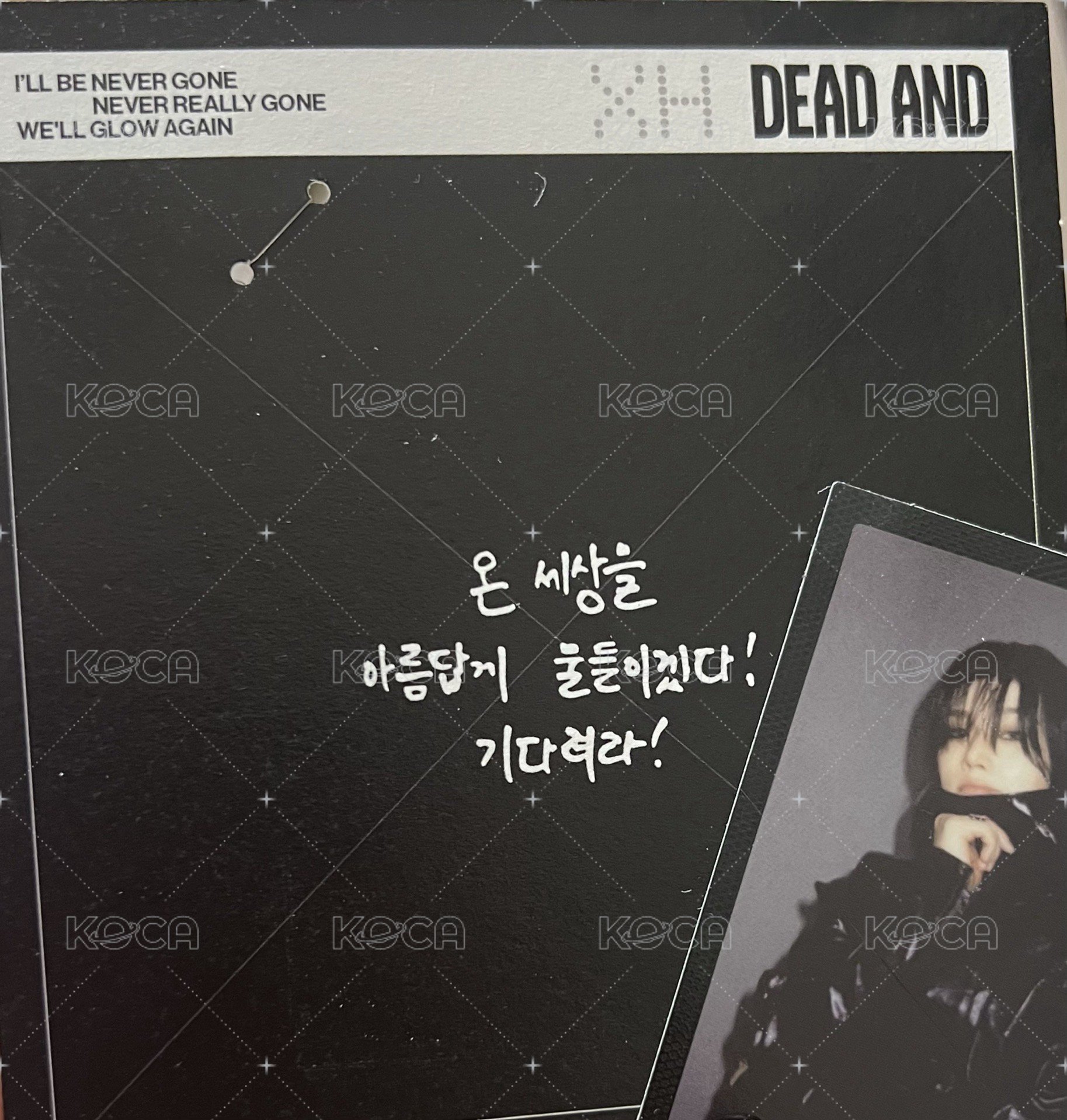 DEAD AND 明信片 訊息拍立得 Hero 背面