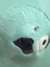 QQ