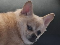 ★