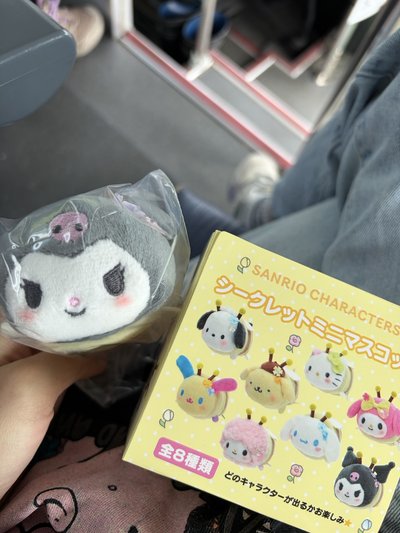 蜜蜂酷洛米