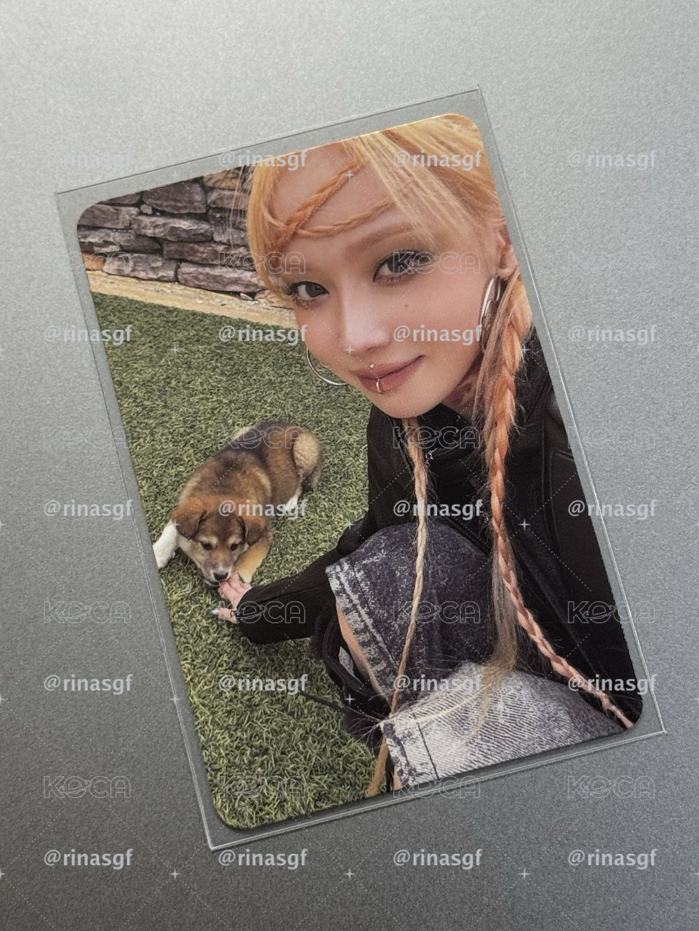 Armageddon zine版專卡 狗勾冬