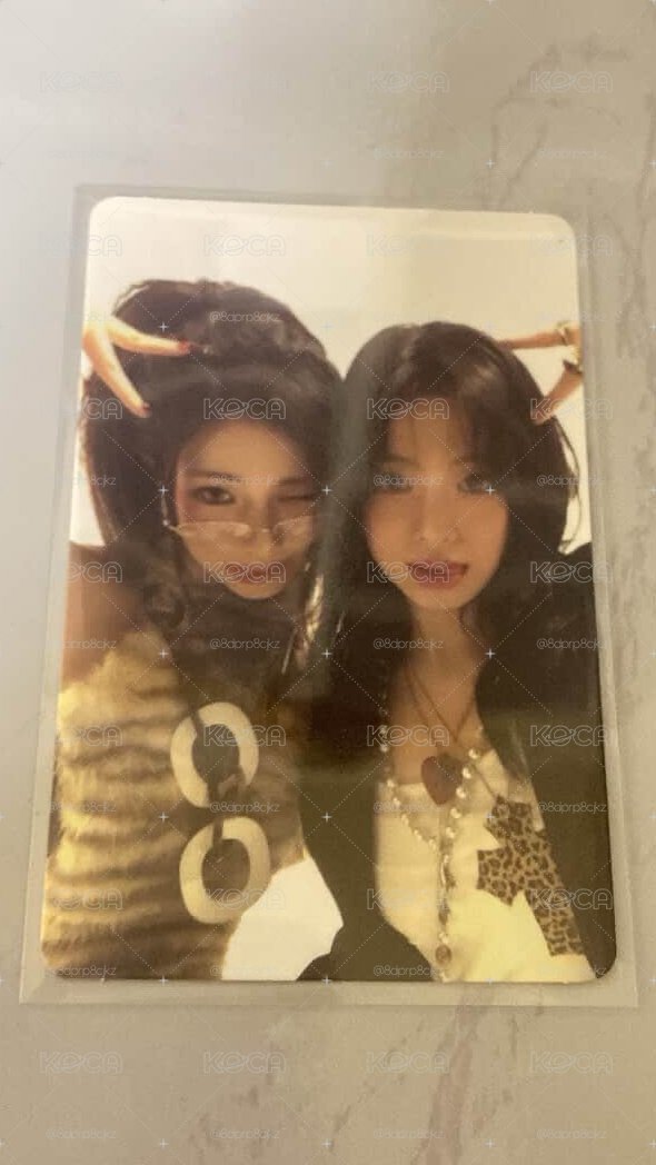 專卡 露賢小貓🐱