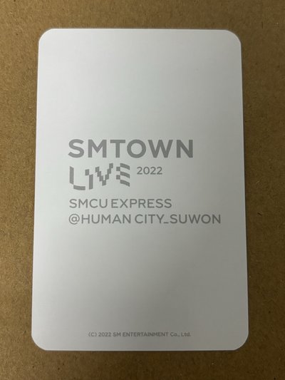 aespa Karina 柚子 周邊卡 2022家族演唱會 紋身貼柚 柚-147