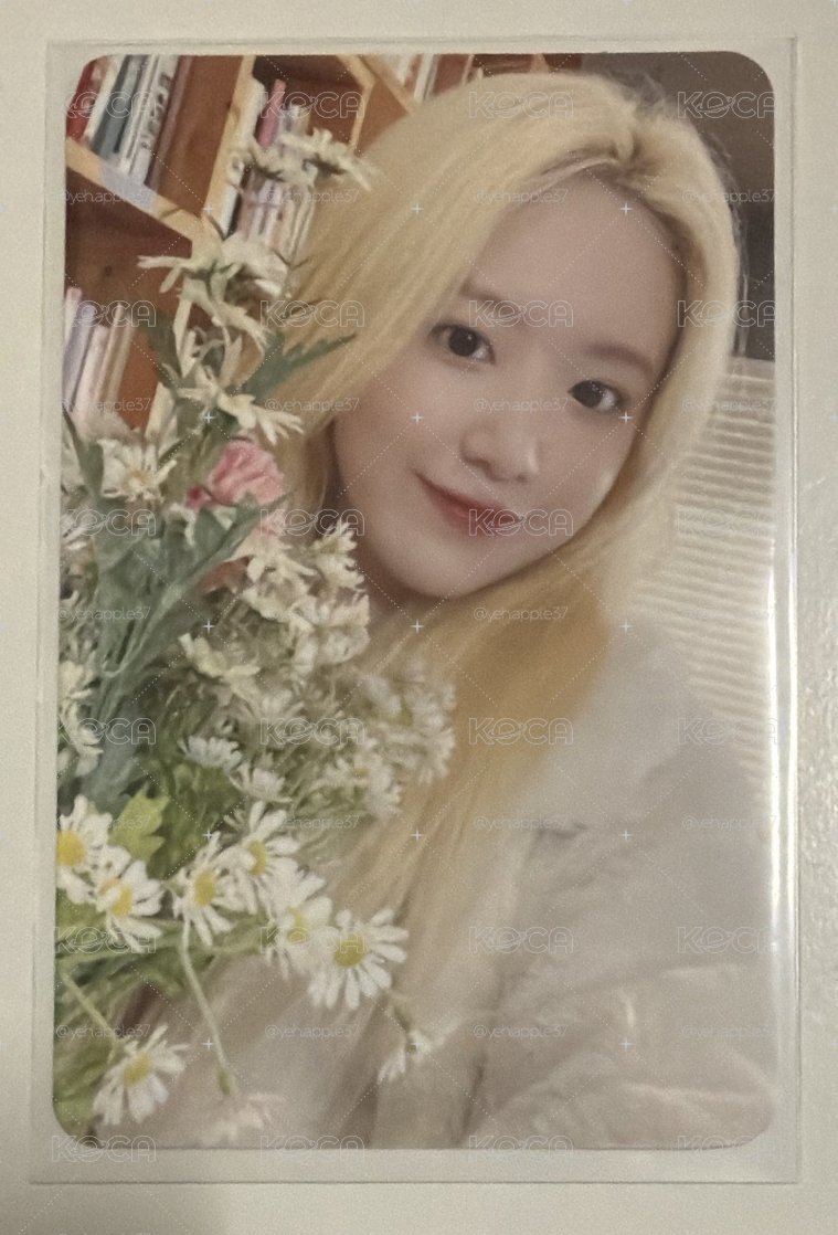 迷五ms捧花刷