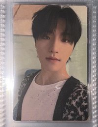 迷九克拉盤狼尾燦