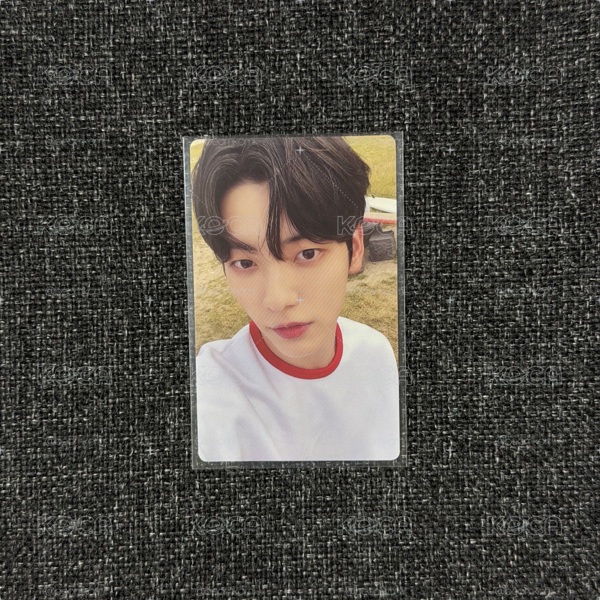 TXT 22年夏寫 秀彬 杋圭