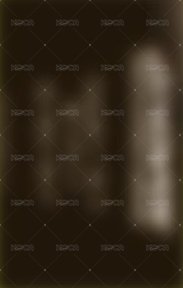 LEMONADE sm jp 特典卡 4/25 東蛋限定團卡 背面