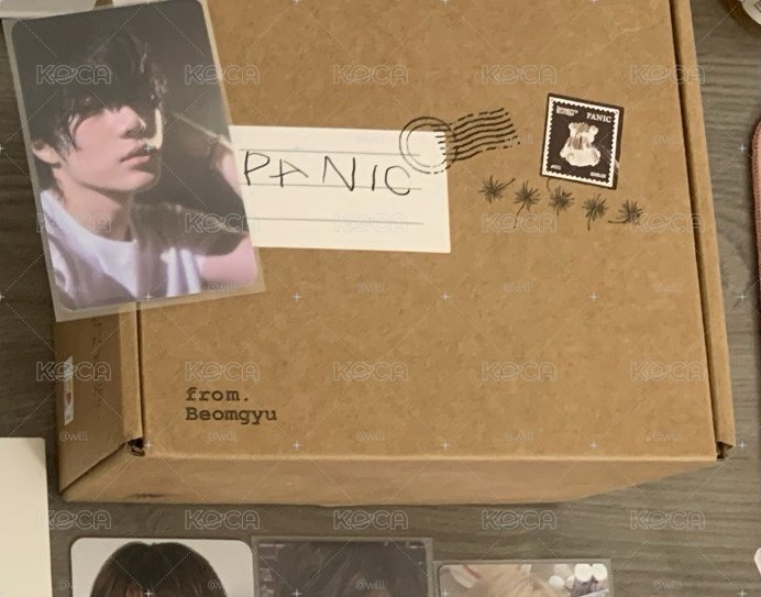 panic全專 含特典