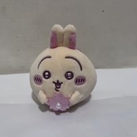 兔兔