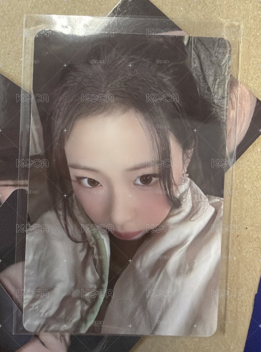 一週年寫真書 yg線下 仁寺洞快閃 特典卡 b ver