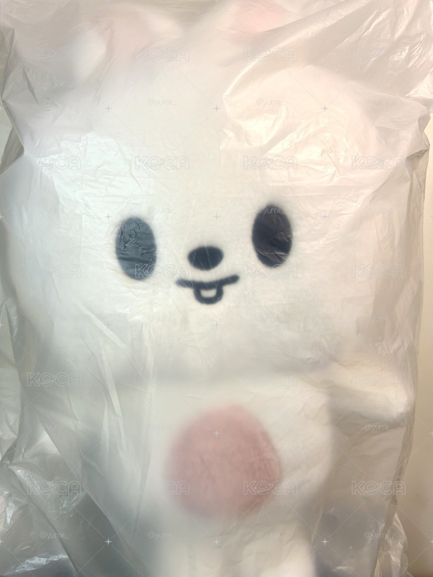 （現貨）六期飯咪旻後背包