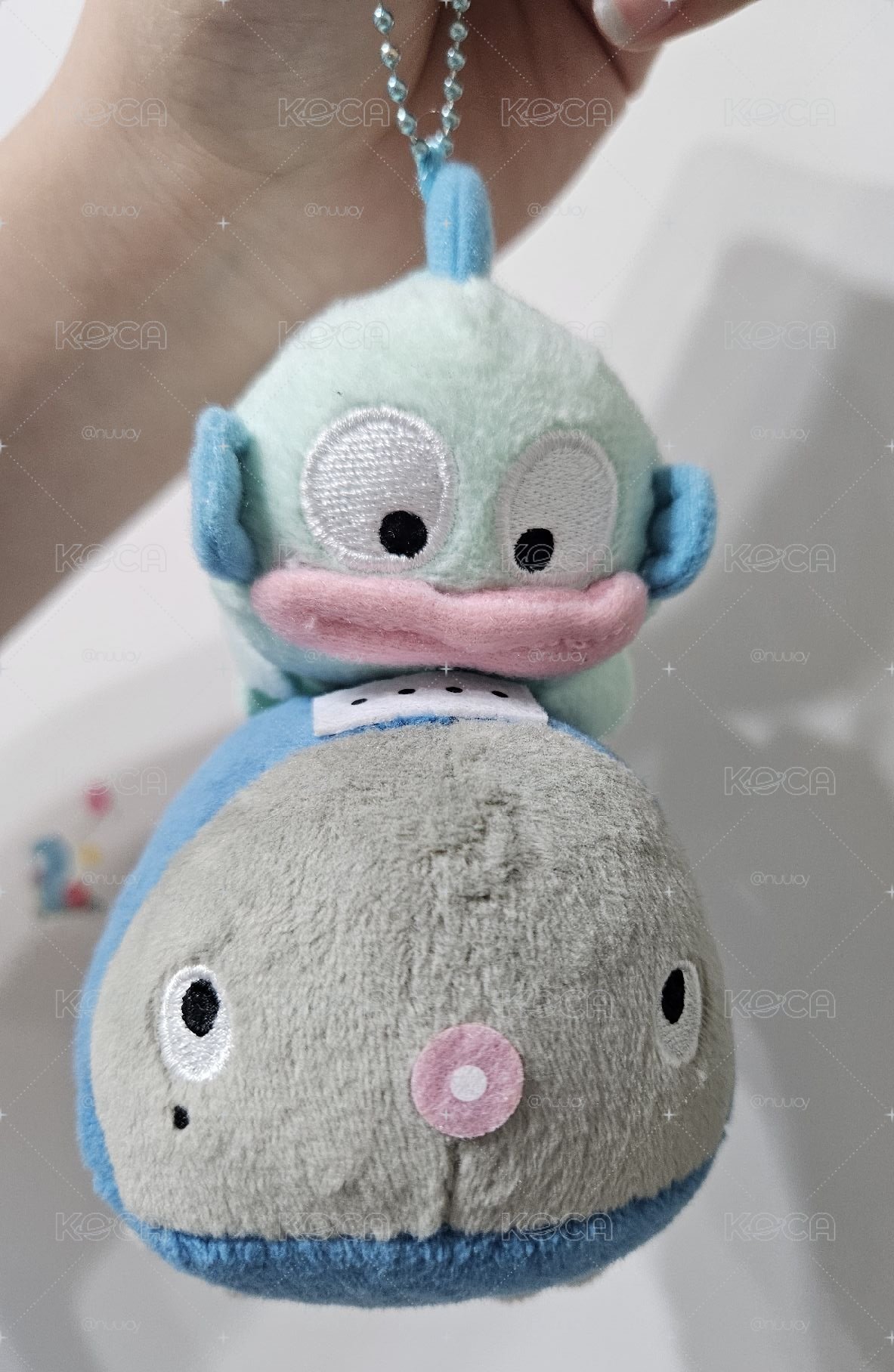 漢頓＆蝌蚪好朋友