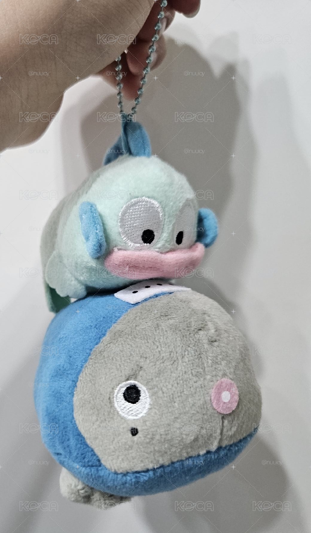 漢頓＆蝌蚪好朋友