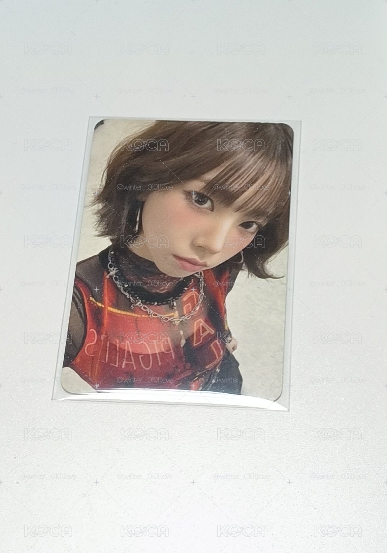 只當你的小貓