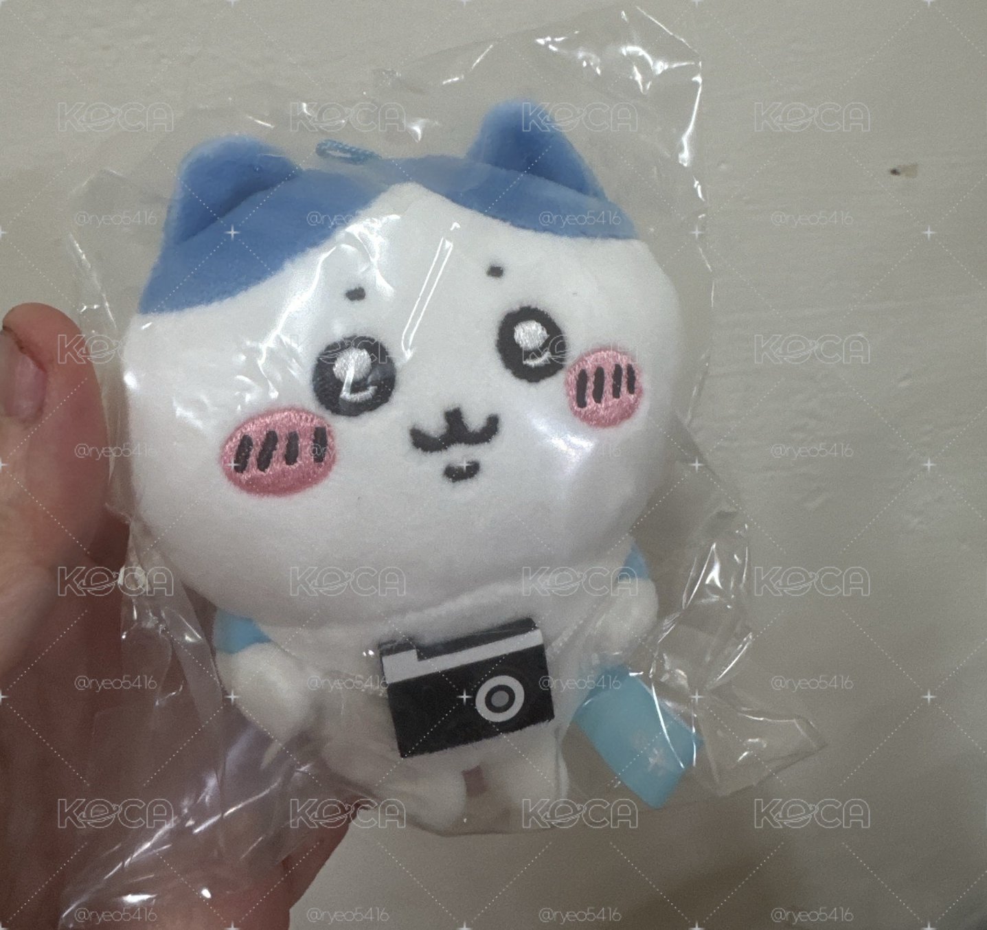 出遊小八