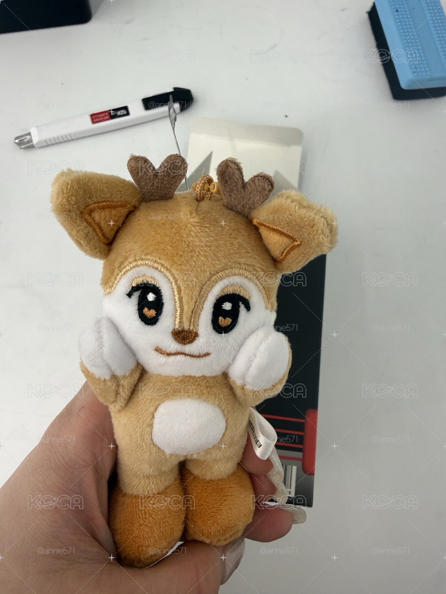 🦌全專