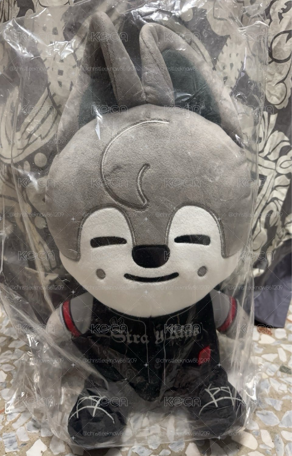 靜岡燦狼