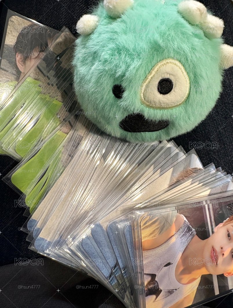 Cortis OY 現貨 金主訓 安乾鎬