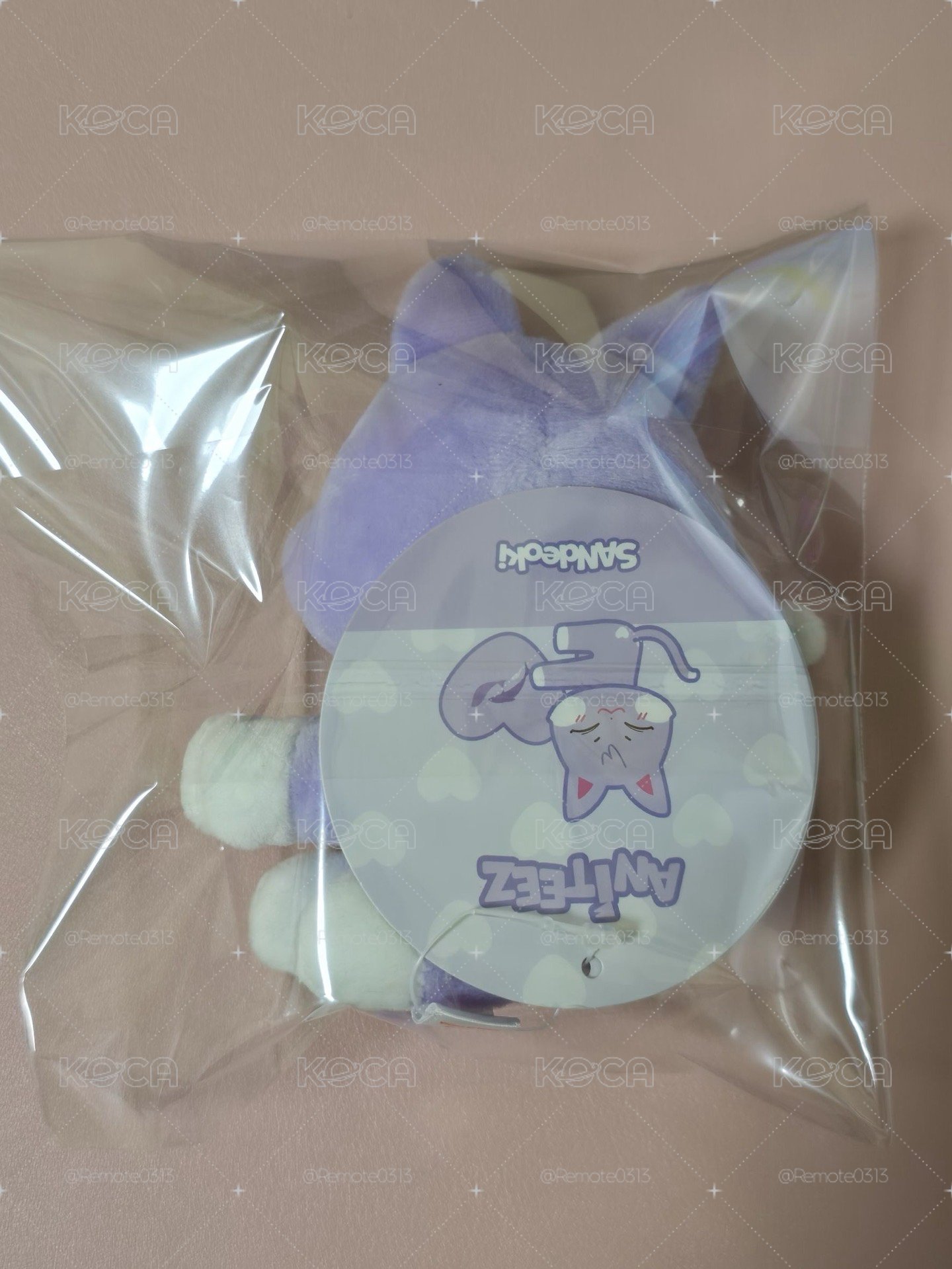 ANITEEZ IN ICE CITY 吊娃 PLUSH PHOTOCARD HOLDER