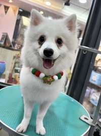莎拉
