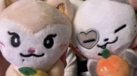 小貓魚