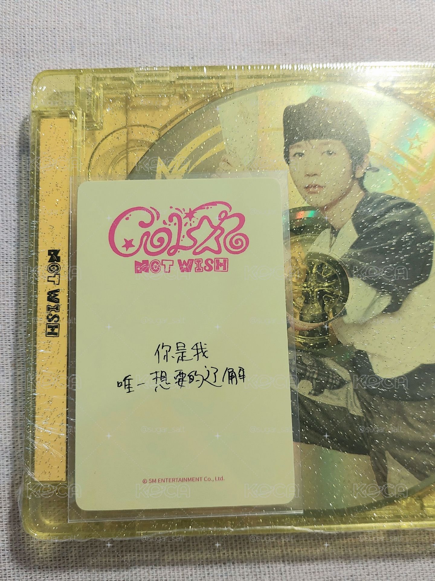你是我唯一想要的遼解