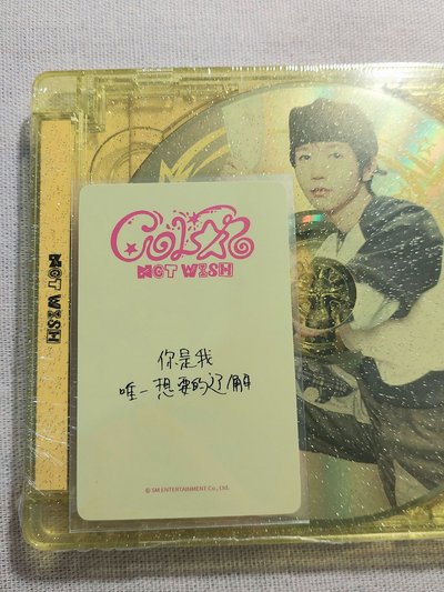 你是我唯一想要的遼解