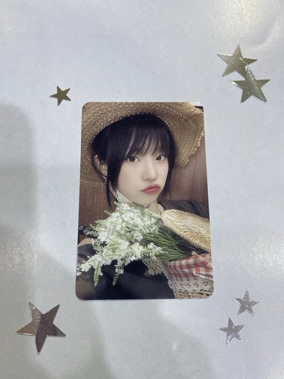 正規二 ms 16.0 簽售卡 ( ´▽` )ﾉ