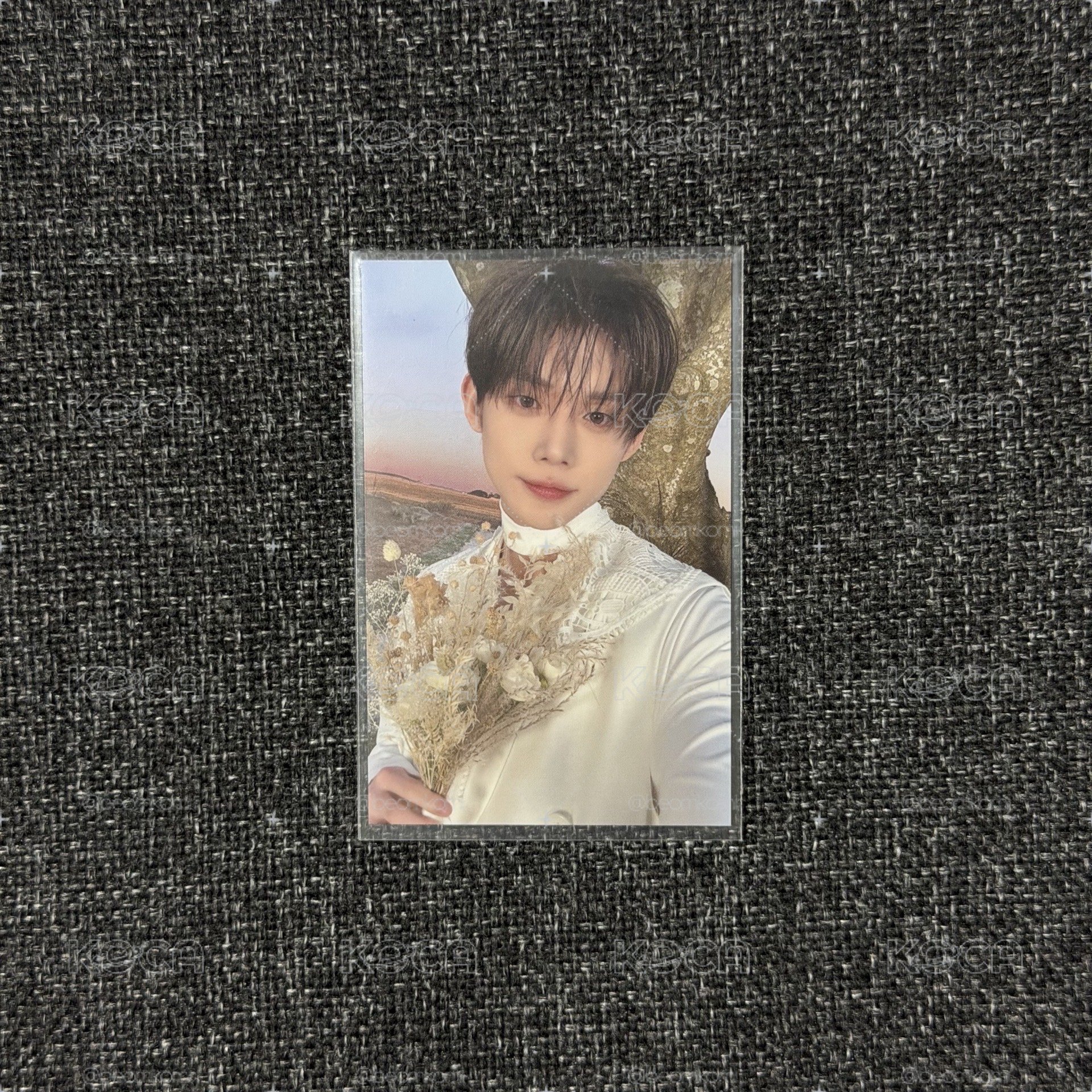 TXT ACT:PROMISE 首爾場 zone卡 然竣