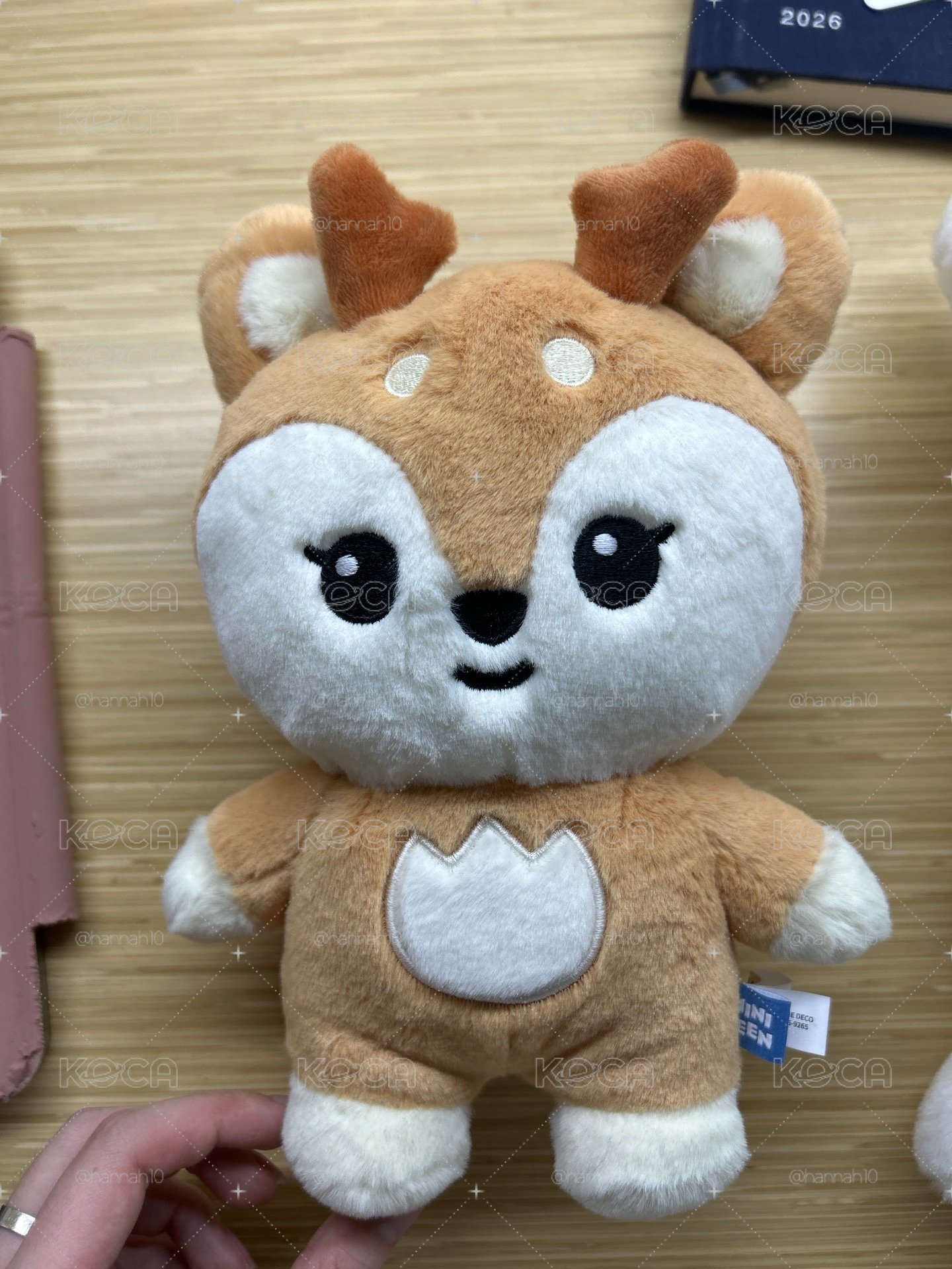 샤슴이站娃