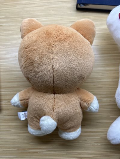 샤슴이站娃
