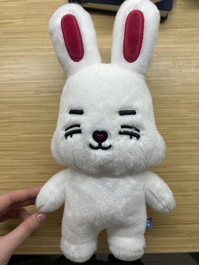 崔勝喆miniteen站娃