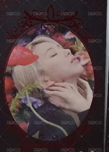彩