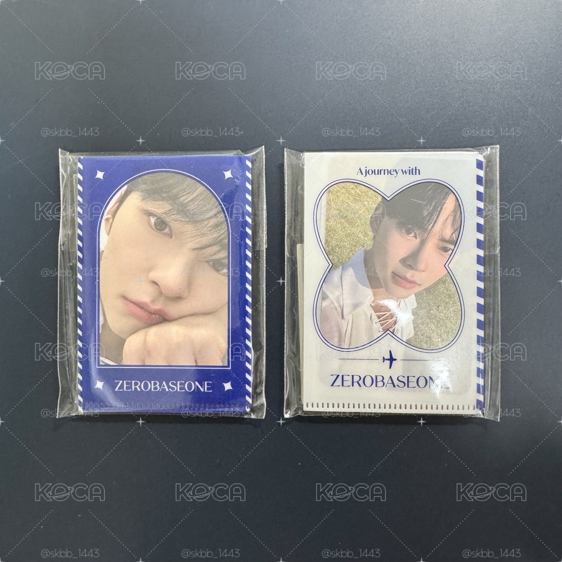 ZB1 大邱快閃 資料夾小卡組