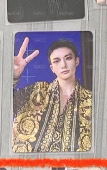 karma豹紋他拍辰