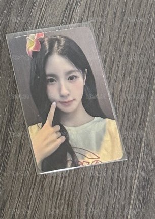 楠藝中背