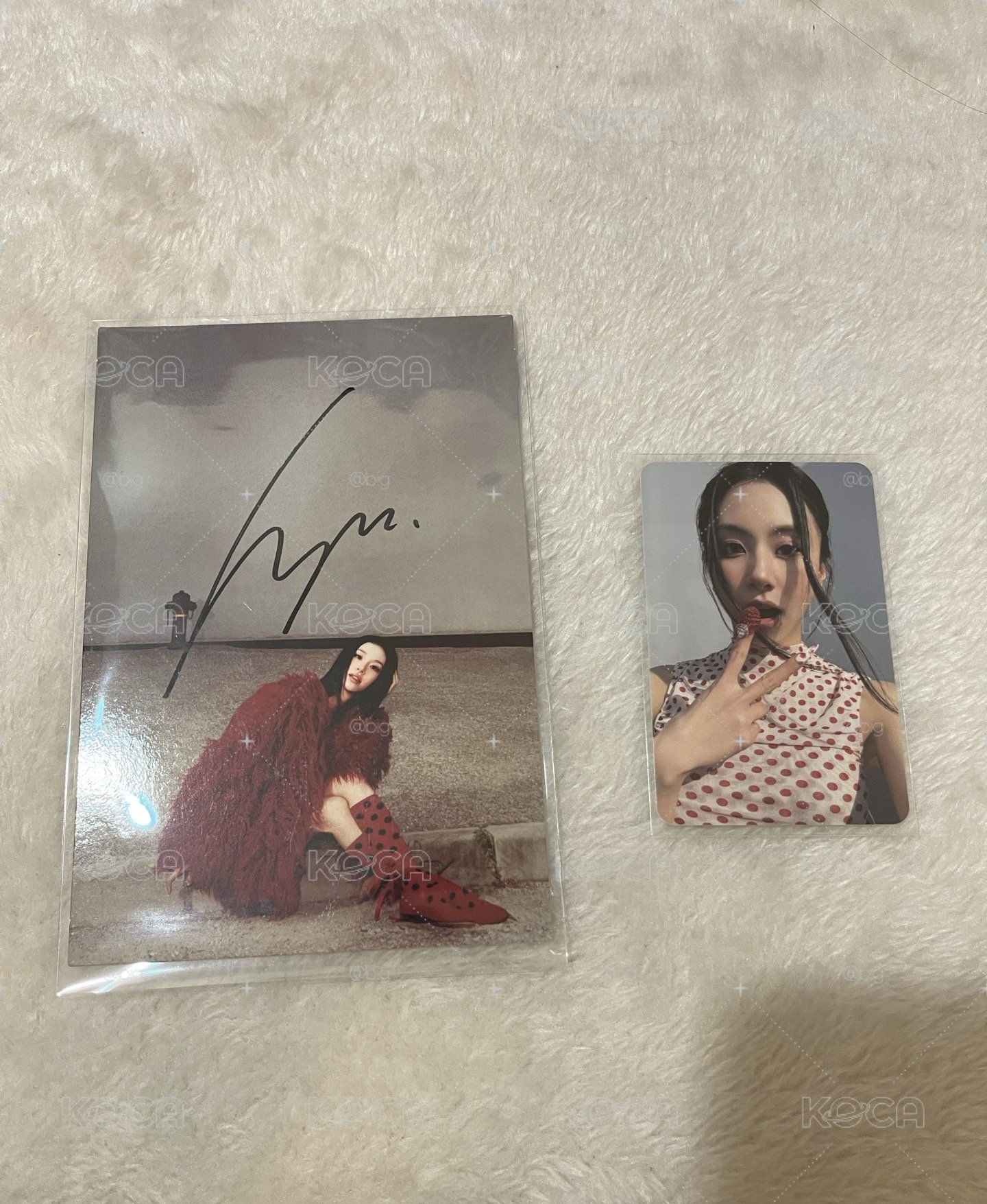 彩美版通路親簽+專卡