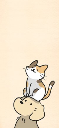 阿土土