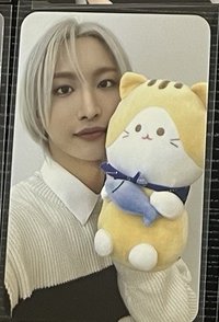 手上有隻貓