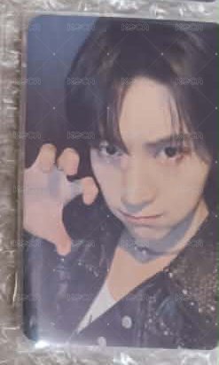 🦊1